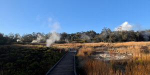 Boardwalk along the Sulfur Banks Trail